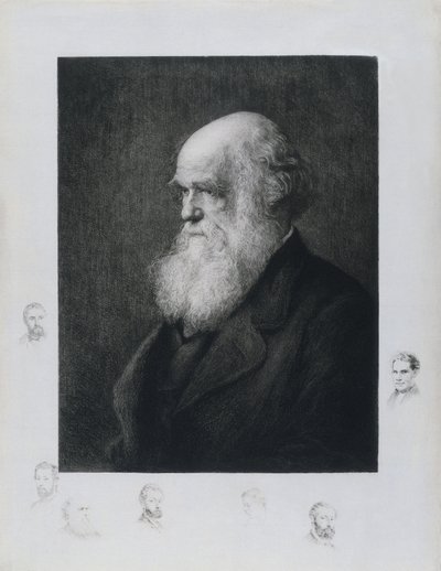 Charles Darwin, naturalista inglese, c 1860s da Unbekannt