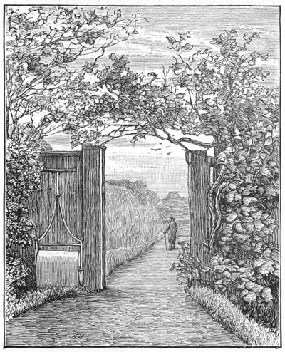 Charles Darwin nella passeggiata sabbiosa a Down House, c1870 1887 da Unbekannt