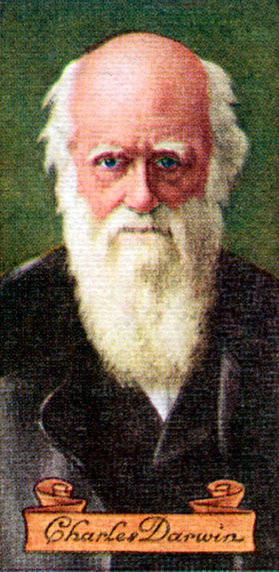 Charles Darwin, da una serie di carte da sigarette, 1935 da Unbekannt