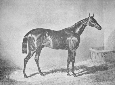 Carlo XII, vincitore del St. Leger 1839, 1911 da Unbekannt