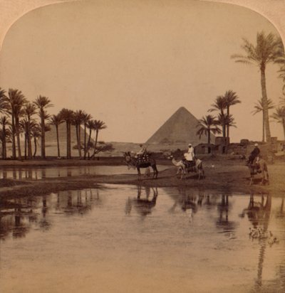 Cheope dalla fertile Valle del Nilo, Egitto, 1896 da Unbekannt