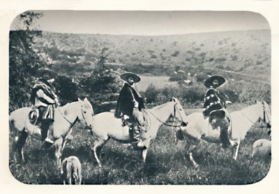 Cowboy di Chillan da Unbekannt