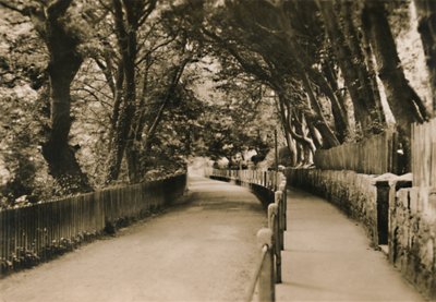 Chine Avenue, Shanklin, I.W., c1920 da Unbekannt