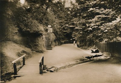 Chine Hollow, Shanklin, I.W., c. 1920 da Unbekannt