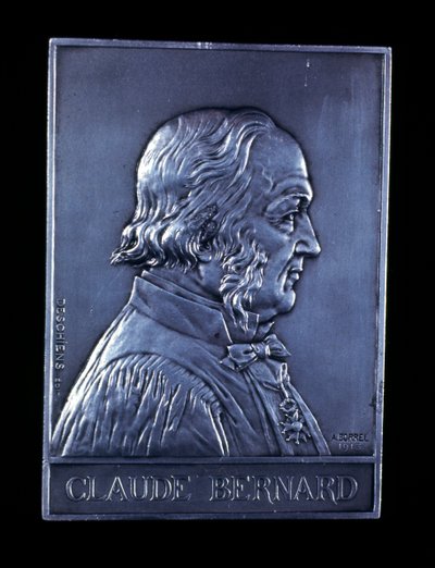 Claude Bernard, fisiologo francese del XIX secolo, 1913 da Unbekannt