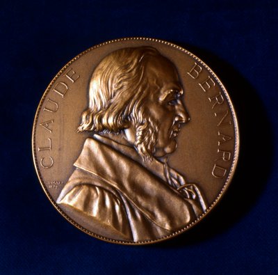 Claude Bernard, fisiologo francese, XIX secolo da Unbekannt