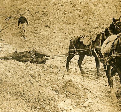 Pulizia del campo di battaglia da Unbekannt