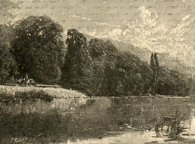 Boschi di Cliefden, 1898 da Unbekannt