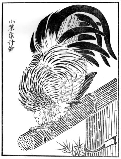 Gallo, XV secolo 1886 da Unbekannt
