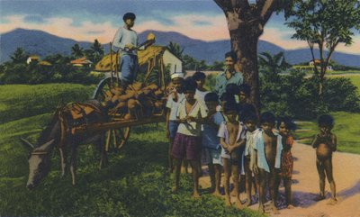 Venditore di cocco, Trinidad, B.W.I. da Unbekannt