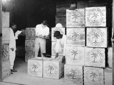 Produzione di cocco, India, XX secolo da Unbekannt