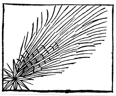 Cometa di Halley del 684, 1493 da Unbekannt
