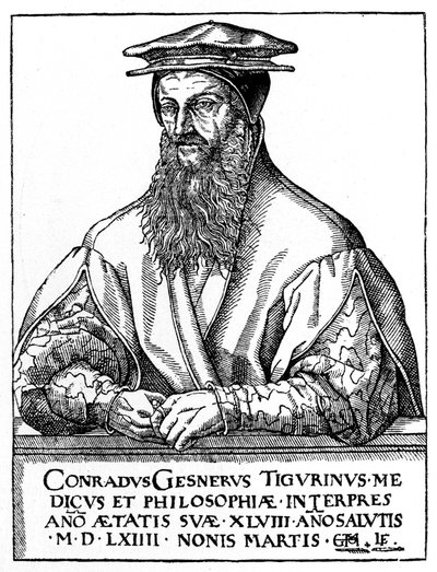 Conrad Gessner, naturalista svizzero, 1887 da Unbekannt