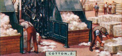 Cotone, 2. - Rottura delle balle nella sala di miscelazione, Inghilterra, 1928 da Unbekannt