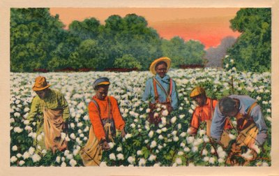 Raccolta del cotone, Augusta, Georgia da Unbekannt