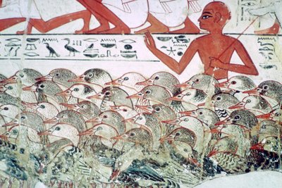 Contare le oche: frammento di affresco dalla tomba di Nebamun, Tebe, Egitto, c. 1350 a.C. da Unbekannt