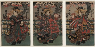 Cortigiane Shigeoka, Sugatano e Hanamurasaki. Trittico. Dalla serie Le bellezze di Yoshiw da Unbekannt
