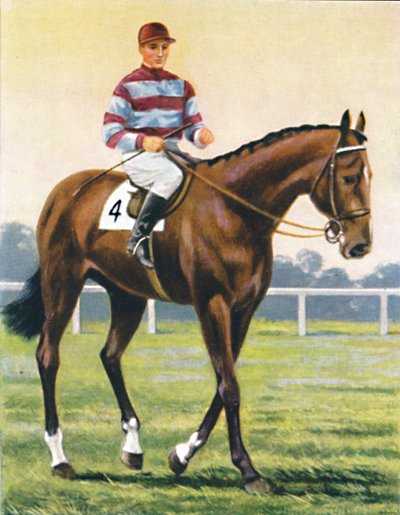 Couvert, Jockey: C. Richards da Unbekannt