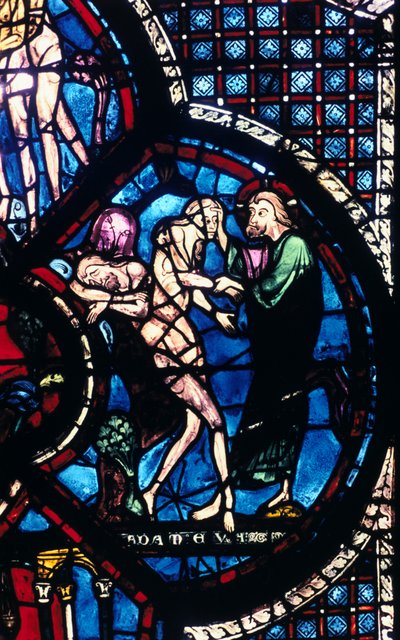 Creazione di Eva, vetrata, Cattedrale di Chartres, Francia, 1205-1215 da Unbekannt