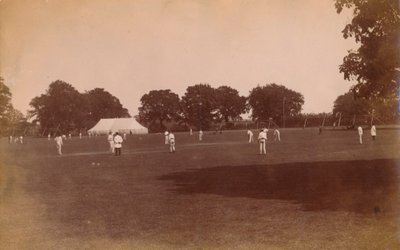 Partita di cricket, fine XIX-inizio XX secolo da Unbekannt