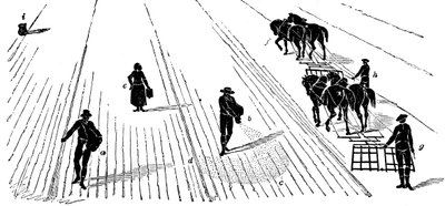 Rotazione delle colture: semina e erpicatura del mais da Unbekannt