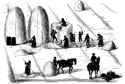 Rotazione delle colture: trebbiatura dell