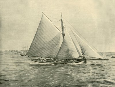 Crociera a Port Jackson, 1901 da Unbekannt