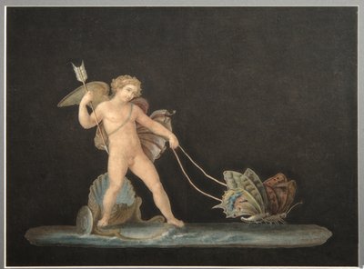 Cupido con farfalle da Unbekannt