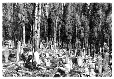 Alberi di Cipresso nel cimitero di Scutari, Turchia, 1895 da Unbekannt