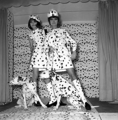 Moda dalmata da Unbekannt