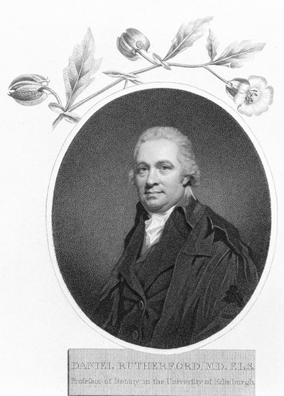 Daniel Rutherford, fine XVIII secolo da Unbekannt