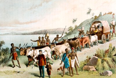 David Livingstone, missionario scozzese ed esploratore africano, 1849 c1878 da Unbekannt
