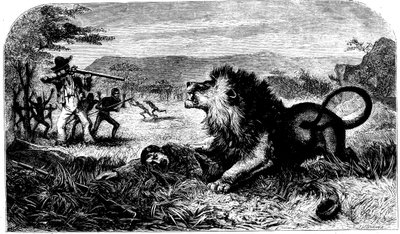 David Livingstone, salvato da un leone da Mebalwe, un maestro di scuola nativo da Unbekannt