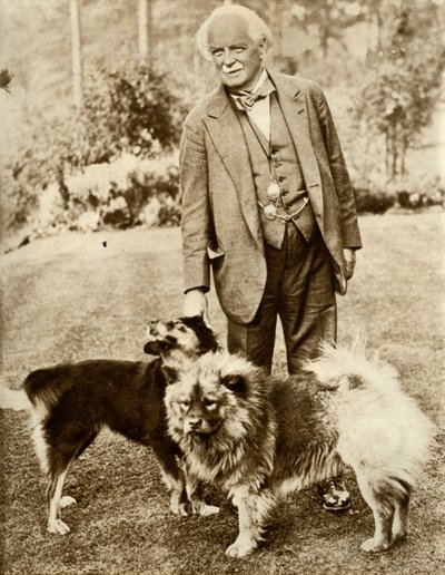 David Lloyd George, 1935 da Unbekannt