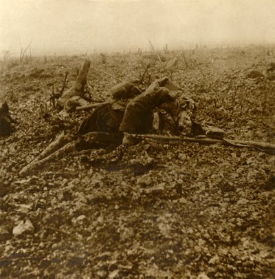 Soldato morto sulla Collina 304, dopo la battaglia di Verdun, Francia settentrionale, 1916 da Unbekannt