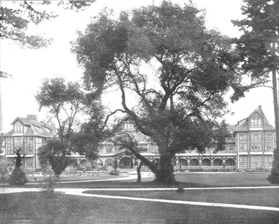 Del Monte, Monterey, California, USA, c1900 da Unbekannt