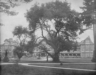 Del Monte, Monterey, California, c1897 da Unbekannt