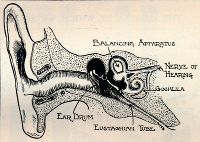 Meccanismo delicato dell