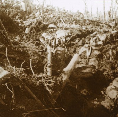 Rifugio distrutto, Les Éparges, Francia settentrionale, 1915 da Unbekannt