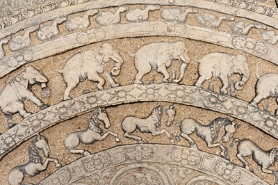 Dettaglio; storico rilievo in pietra; pietra lunare con rappresentazioni di animali; elefanti; cavalli; pietra su una scalinata; Sala del Consiglio di Re Parakrama Bahu I; distretto della città interna; Polonnaruwa; Sri Lanka; Asia da Unbekannt