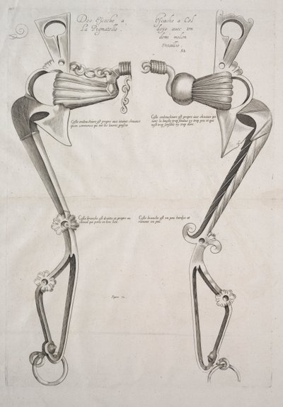 Diagramma per il morso del cavallo, 1700s da Unbekannt