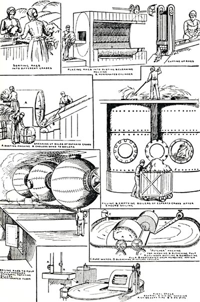Diagrammi che illustrano la preparazione di stracci e erba sparto per la fabbricazione della carta, c1917 da Unbekannt