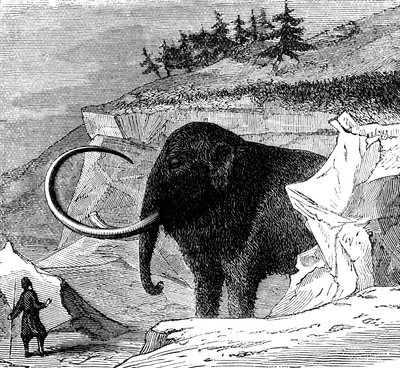 Scoperta di un mammut lanoso, 1779 c1870 da Unbekannt