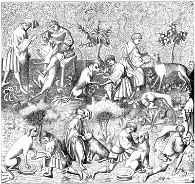 Malattie dei cani e le loro cure da Unbekannt