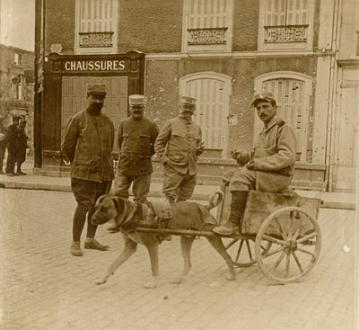 Carretto per cani, Francia, c1914-c1918 da Unbekannt