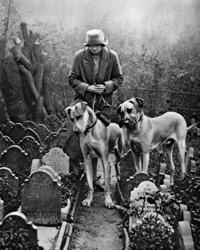 Cimitero dei cani, Victoria Gate, Bayswater, Londra da Unbekannt