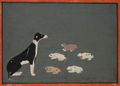 Cane con cuccioli, c. 1780 da Unbekannt