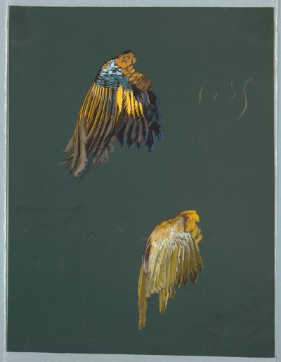 Disegno, da Saint Germain - Volumi 1 e 2 da Unbekannt
