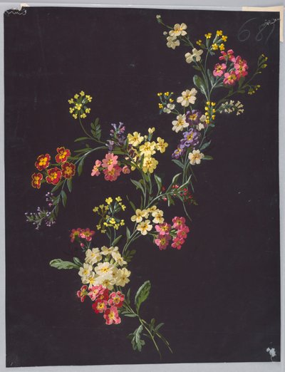 Disegno, da Saint Germain - Volumi 1 e 2 da Unbekannt