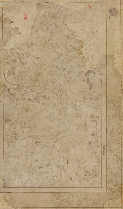 Disegno di animali e piante da Unbekannt